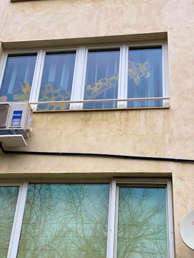 Spacious Apartment Next To South Park Просторен Апартамент До Южен Парк Top Location صوفيا المظهر الخارجي الصورة